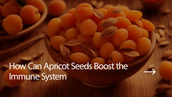 How Can Apricot Seeds Boost the Immune System