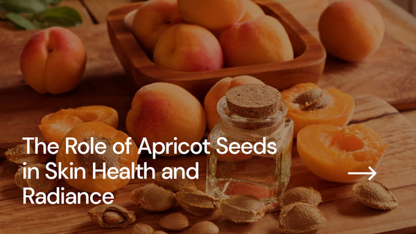 The Role of Apricot Seeds in Skin Health and Radiance