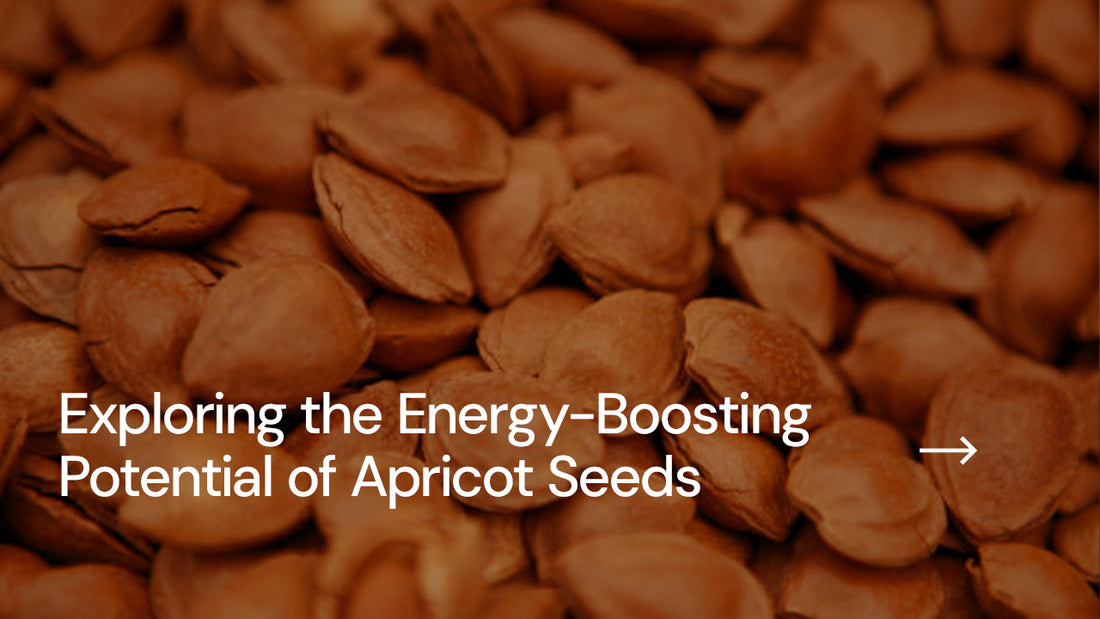 Exploring the Energy-Boosting Potential of Apricot Seeds
