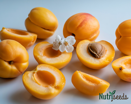 10 Reasons To Eat Apricot Seeds