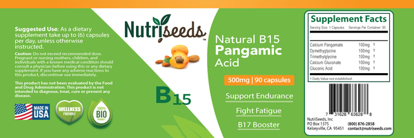 Natural B15 - Pangamic Acid